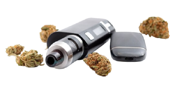 Dry Herb E-Cigs for Herbal Connoisseurs: A Flavorful Journey